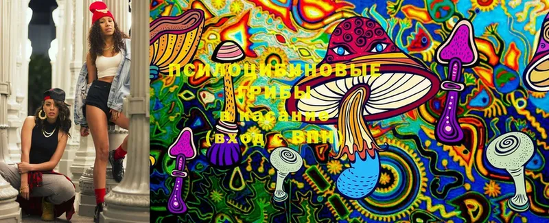 Псилоцибиновые грибы Magic Shrooms  Грязовец 